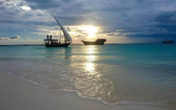 Zanzibar Island Adventures & Excursion (Open) - Image 13