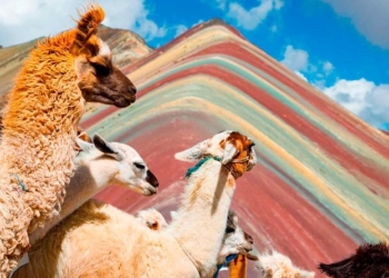 Rainbow Mountains, Sacred Valley & Machu Picchu tours, Cusco, Peru: August 28 – 31, 2025