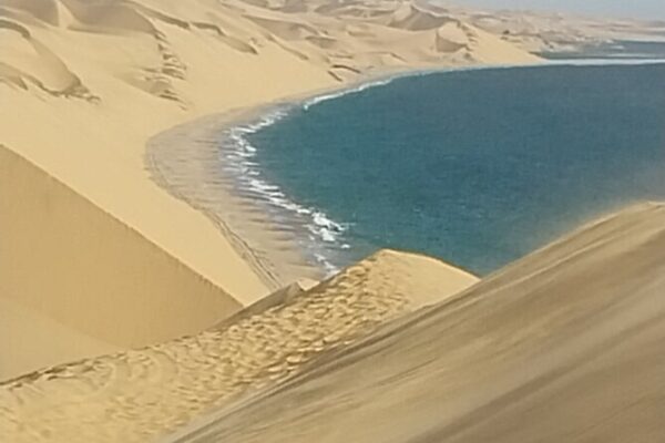 Desert dunes and Sandwich Harbor Scenic Excursions, Walvis Bay, Namibia. Aug 21 -25, 2025 - Image 5