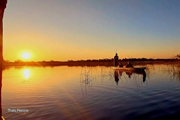 Bush Walk & Safari Adventures; Okavango Delta, Botswana. Aug 7 -10, 2025 - Image 6